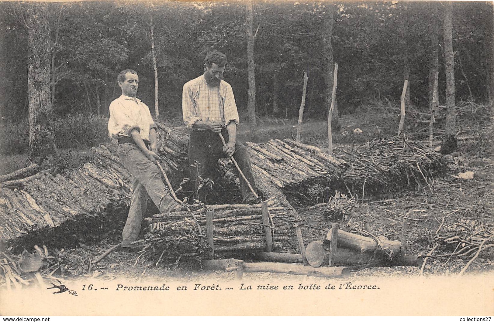 TRAVAIL DU BOIS- LA MISE EN BOTTE DE L'ECORCE - Autres & Non Classés