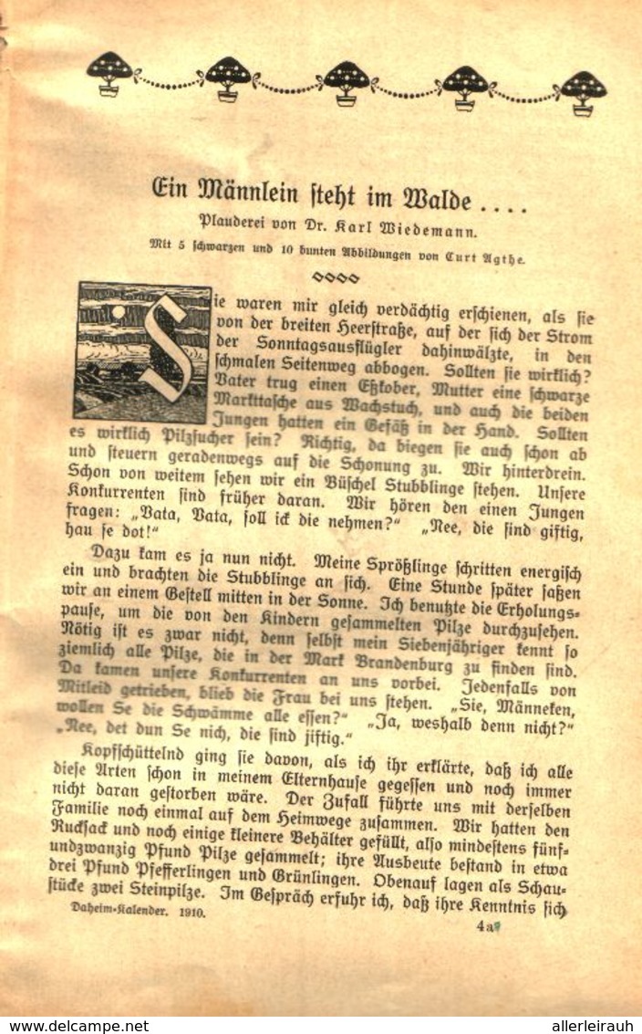 Ein Männlein Steht Im Walde...(Karl Wiedemann Ueber Pilze) / Plauderei, Entnommen Aus Kalender / 1910 - Colis