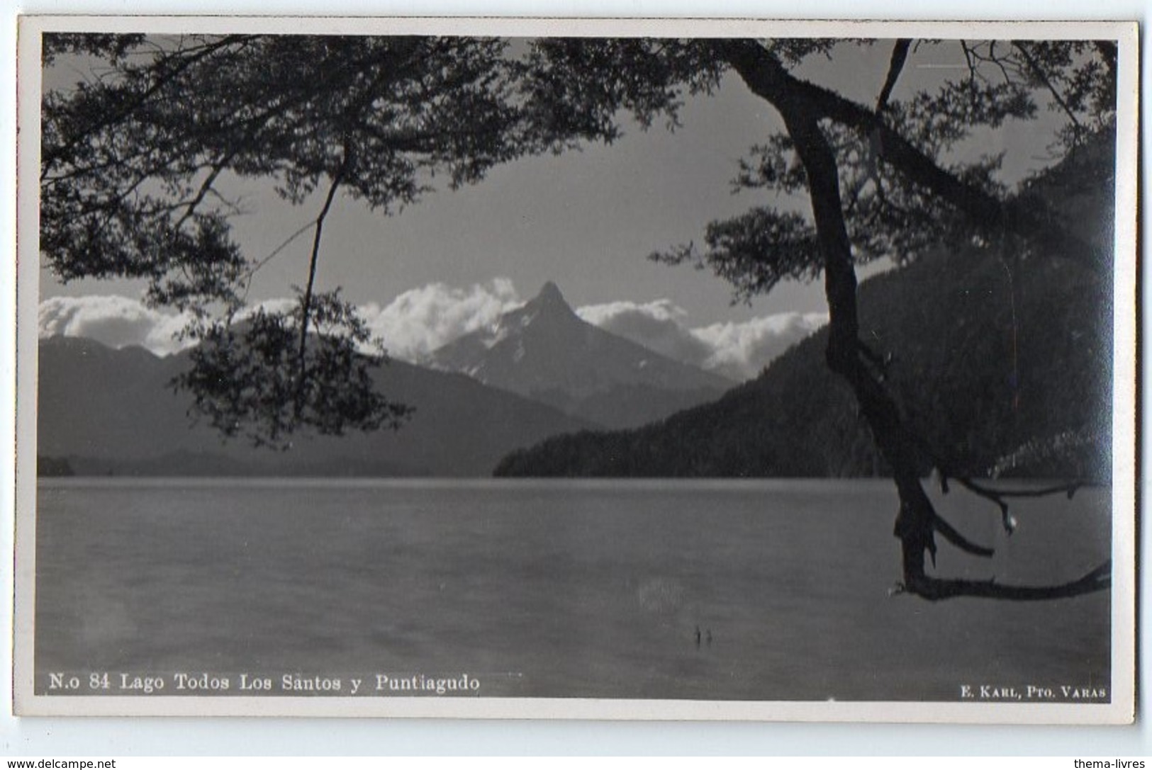 Chile-Chili : Lago Todos Los Santos Y Puntiagudo    (années 30) (PPP8386) - Chili