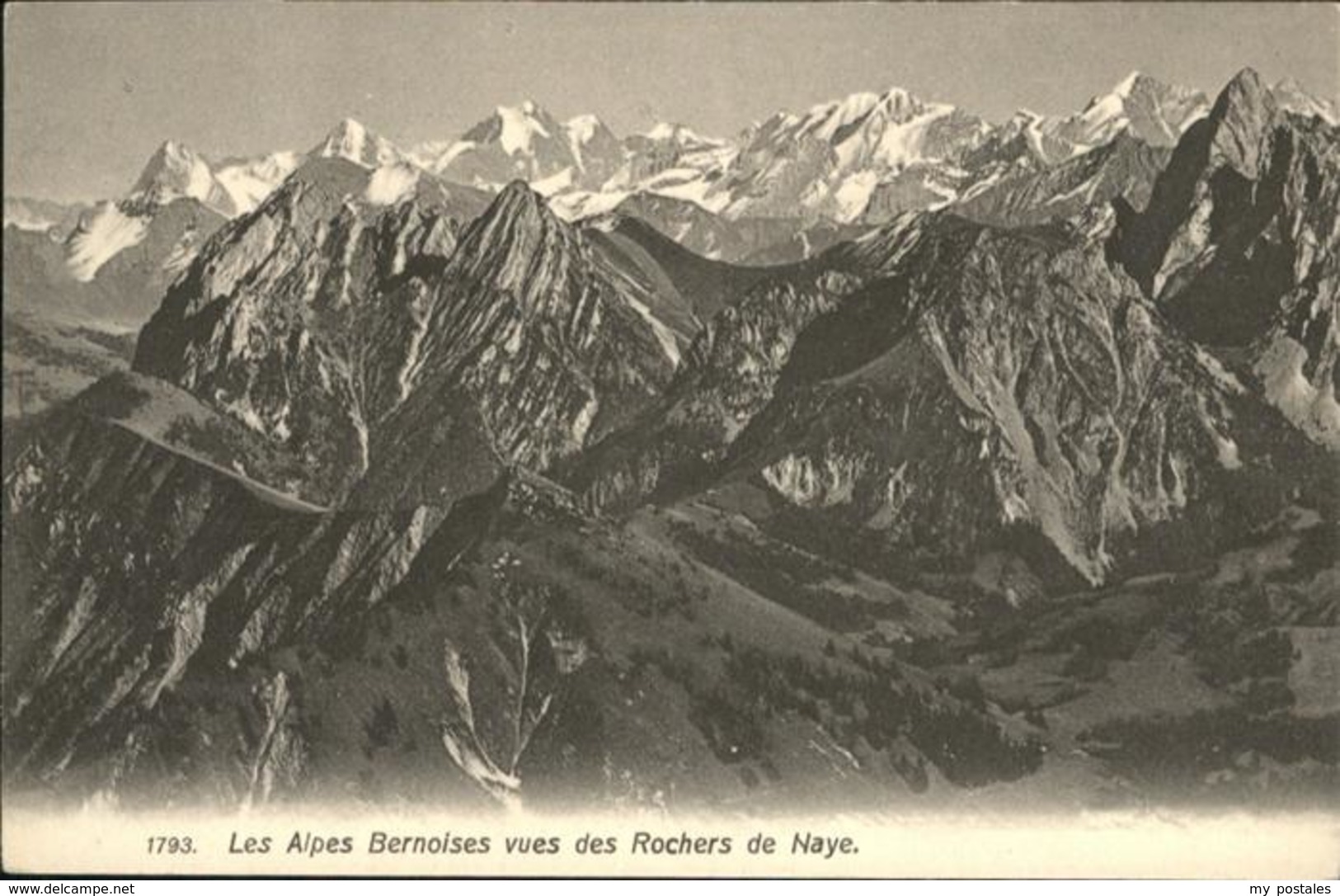 10947544 Rochers De Naye Les Alpes Bernoises  Rochers De Naye - Roche