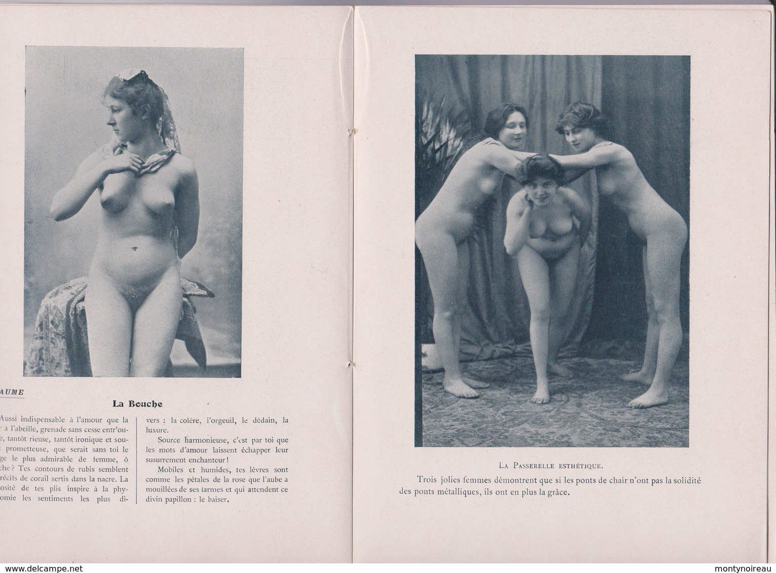 Pier14: Vieux  Papier :Livre Arts Académiques Photographies , Femmes Nues, Sein ( Paul Grosian) - Non Classés