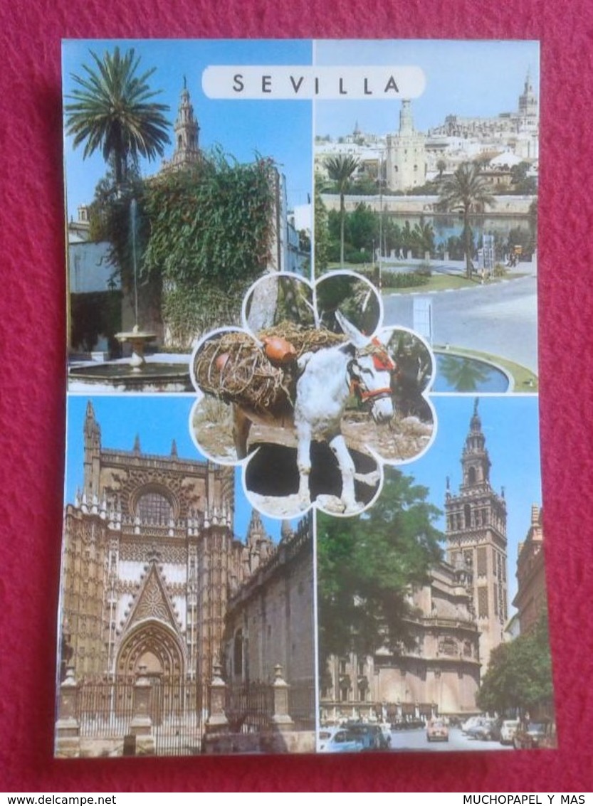 POSTAL POSTCARD POST CARD SEVILLA EDICIONES PERGAMINO. DIVERSAS VISTAS. BURRO BURRITO DONKEY VER FOTO/S Y DESCRIPCIÓN - Burros