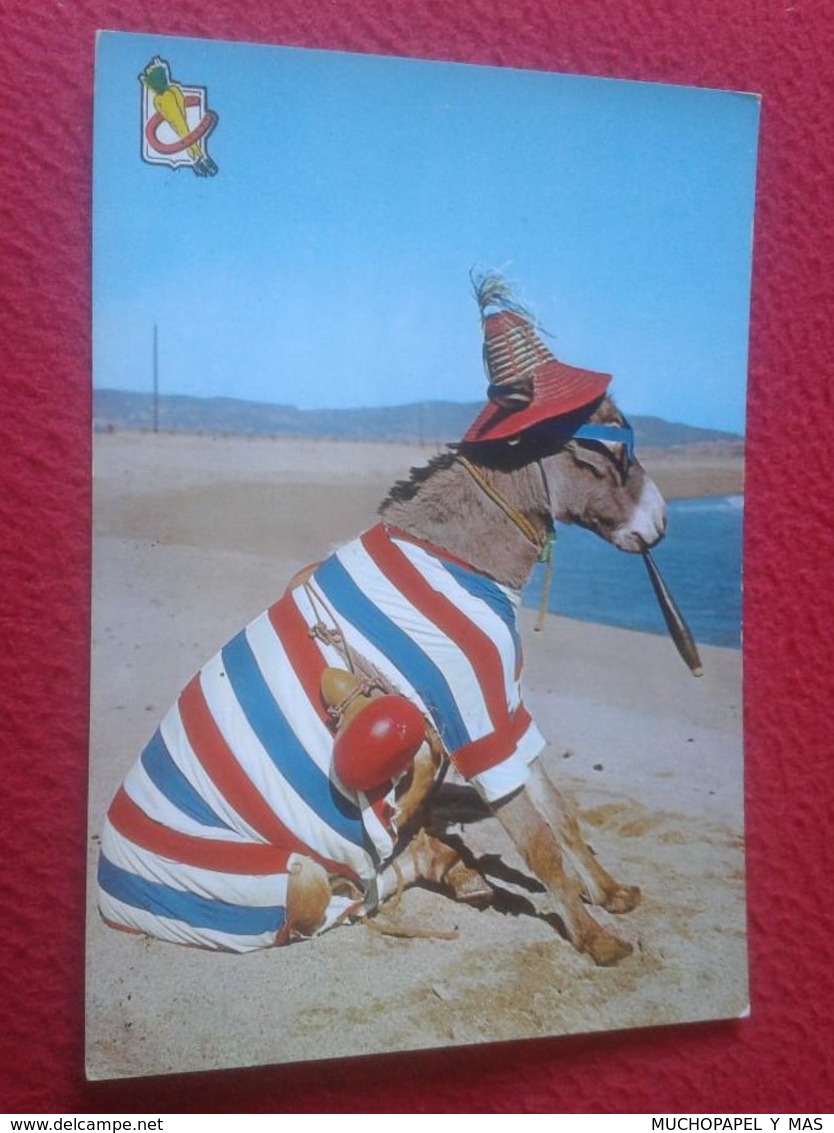 POSTAL POSTCARD POST CARD FUMANDO ESPERO. BURRO BURRITO ASNO DONKEY. SOBERANAS FISA VER FOTO/S Y DESCRIPCIÓN - Burros