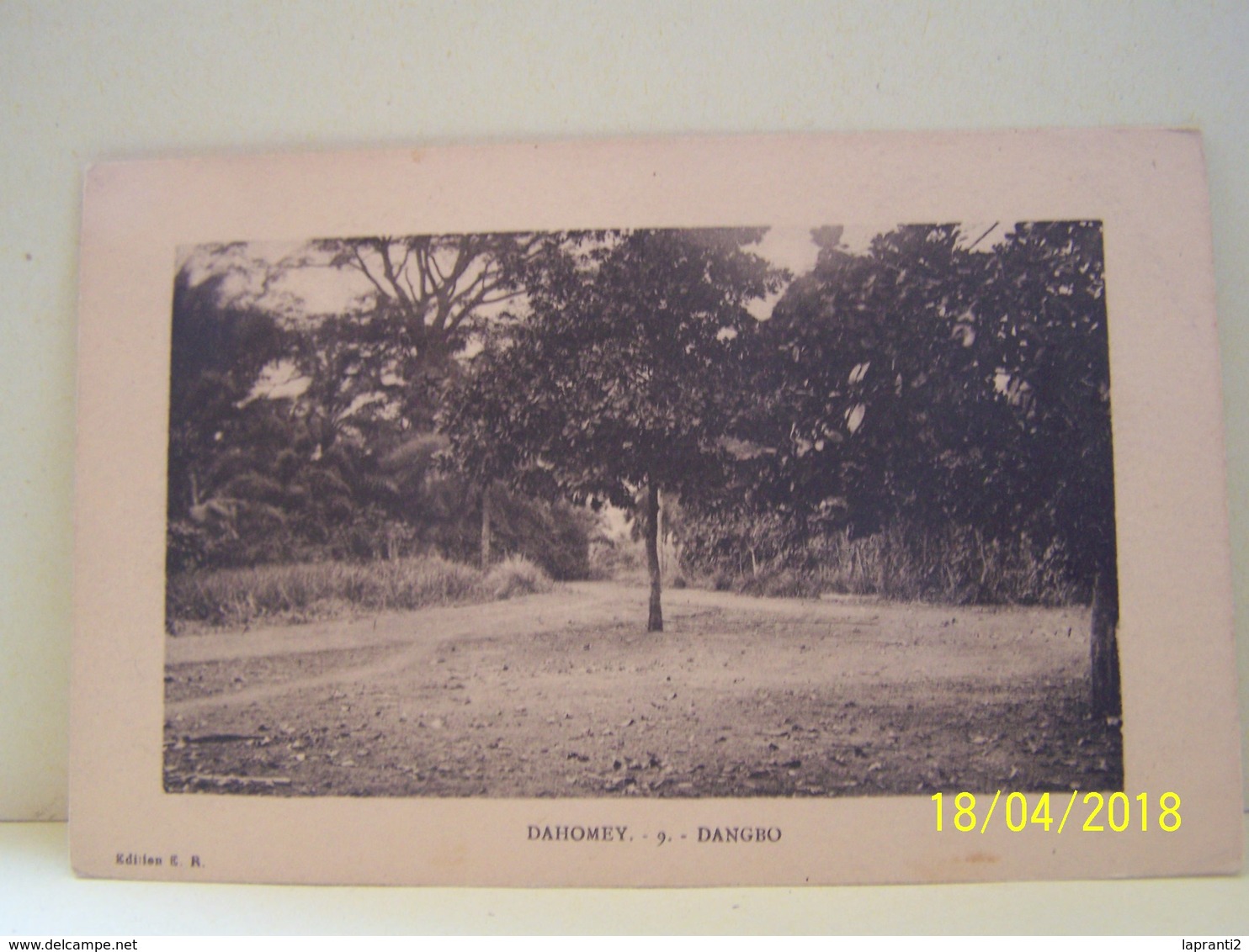 DANGBO (BENIN) DAHOMEY. LES ARBRES. - Benin