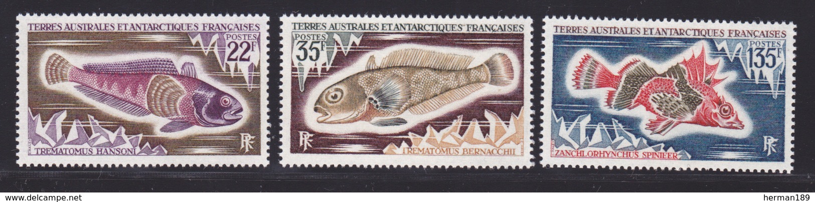 TAAF N°   43 à 45 ** MNH Neufs Sans Charnière, TB (D6883) Poissons - Neufs