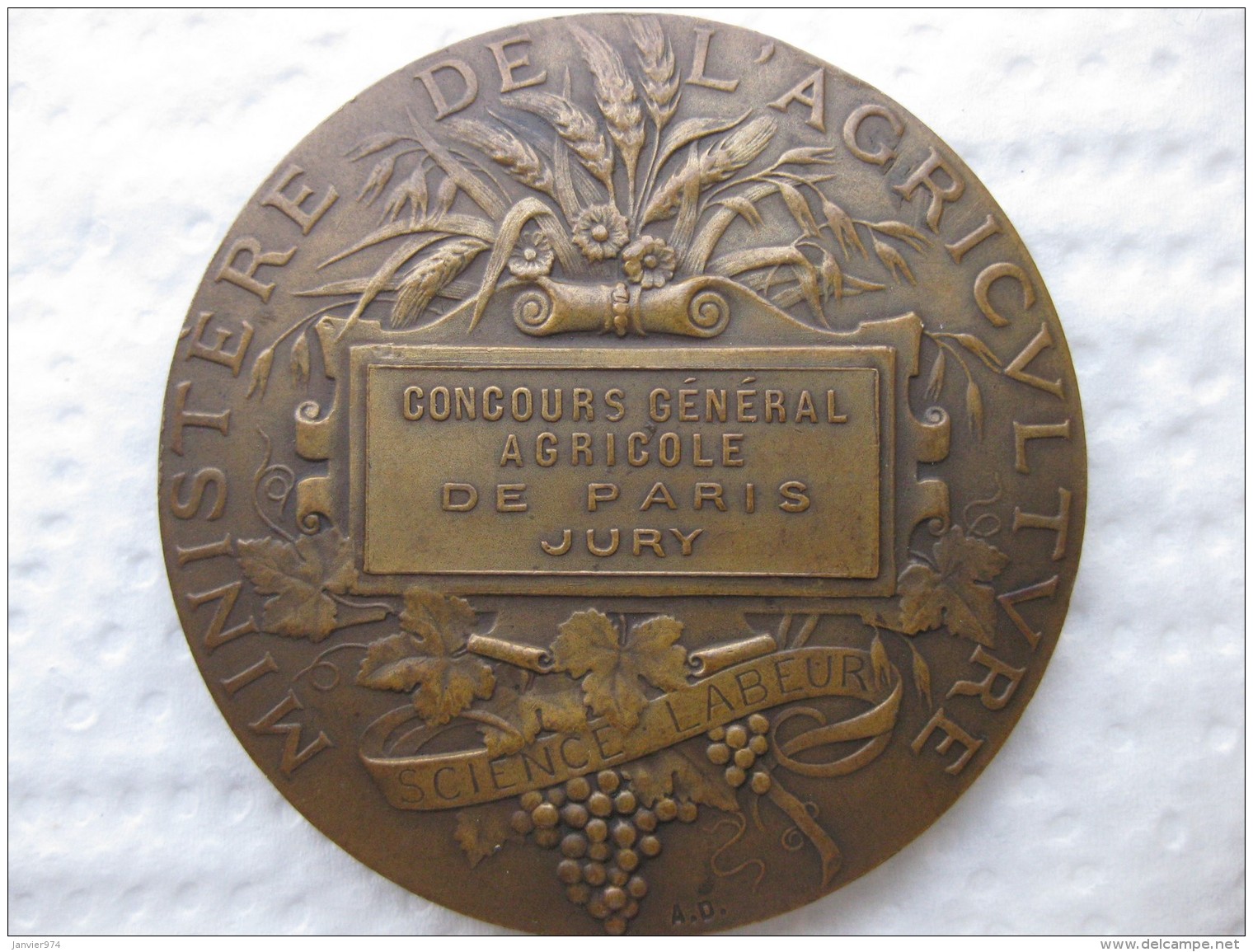 Medaille Concours Général Agricole De PARIS, JURY, Par A. DUBOIS - Autres & Non Classés