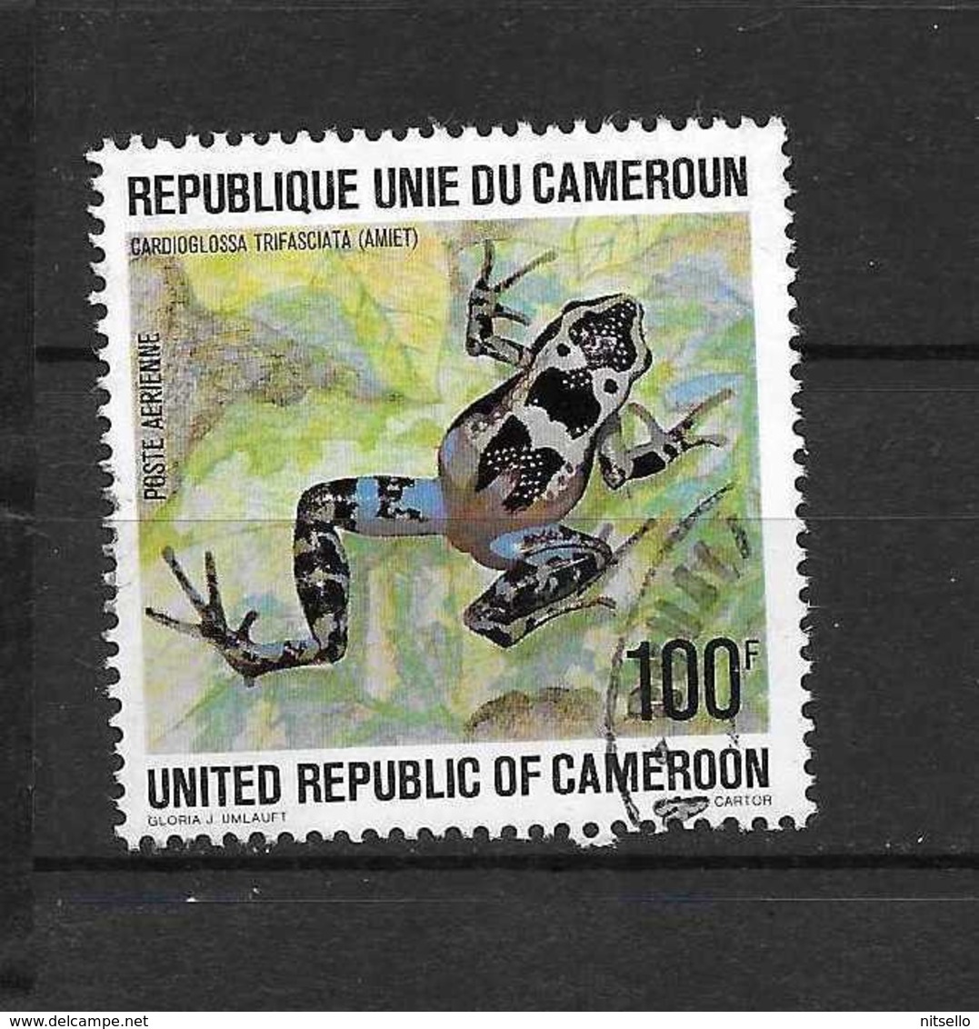 LOTE 1711  ///  CAMERUN - Camerun (1960-...)