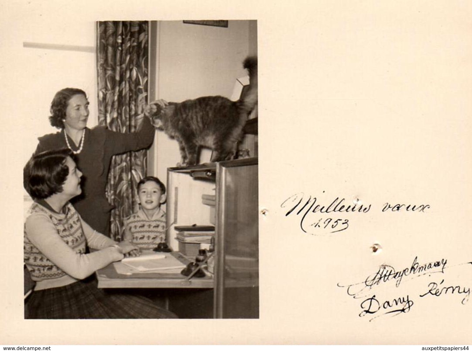 Photo Montage Original Photo Carte De Meilleurs Voeux Signée - Mère, Enfant Et Chat Au Bureau En 1953 - Anonieme Personen