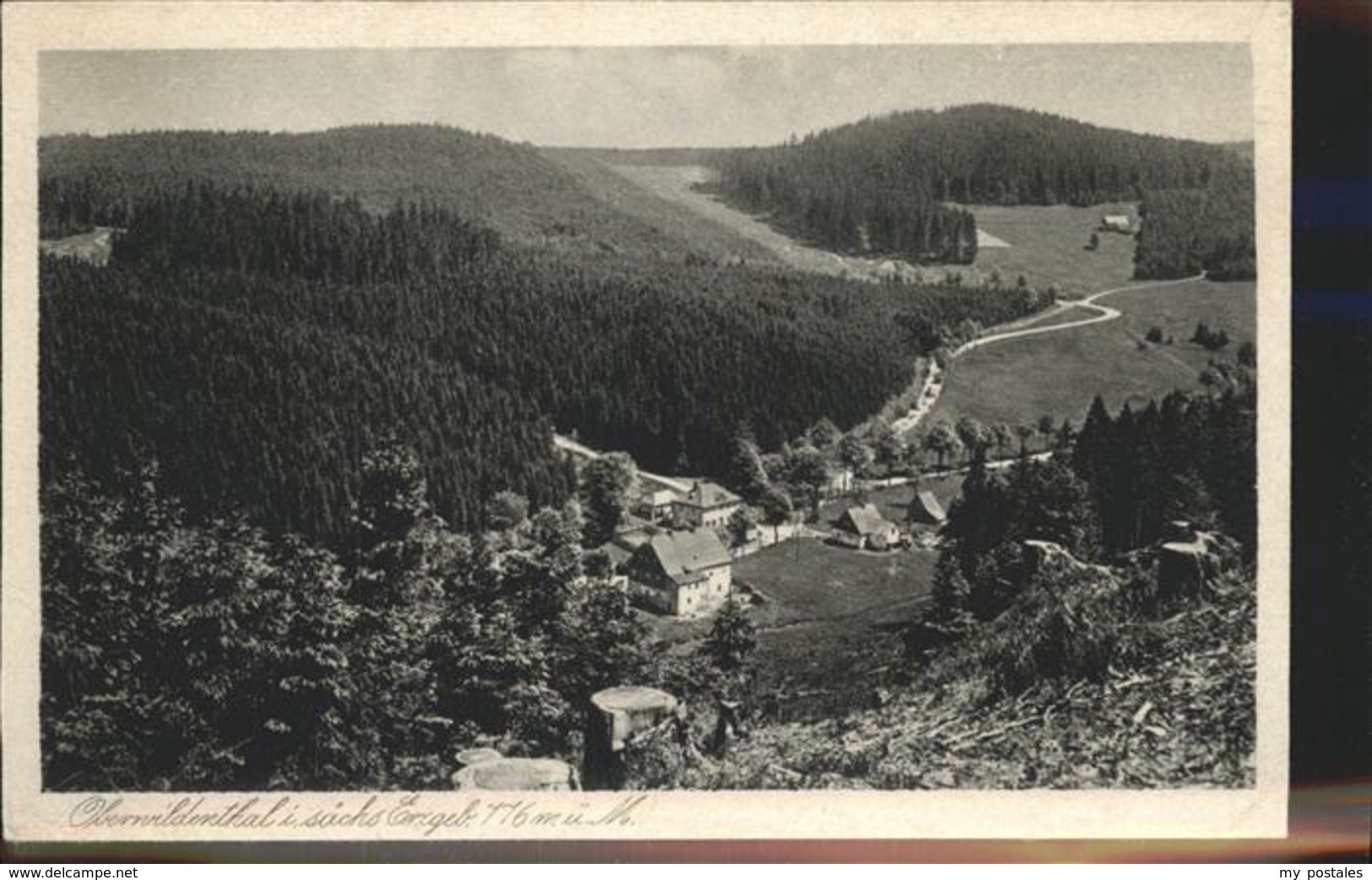 41244382 Oberwildenthal Erzgebirge Panorama Eibenstock - Eibenstock