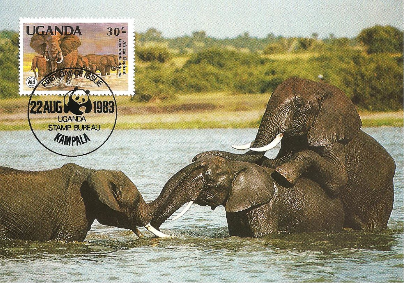 1983 - UGANDA Kampala - Savanna Elephant - Ouganda