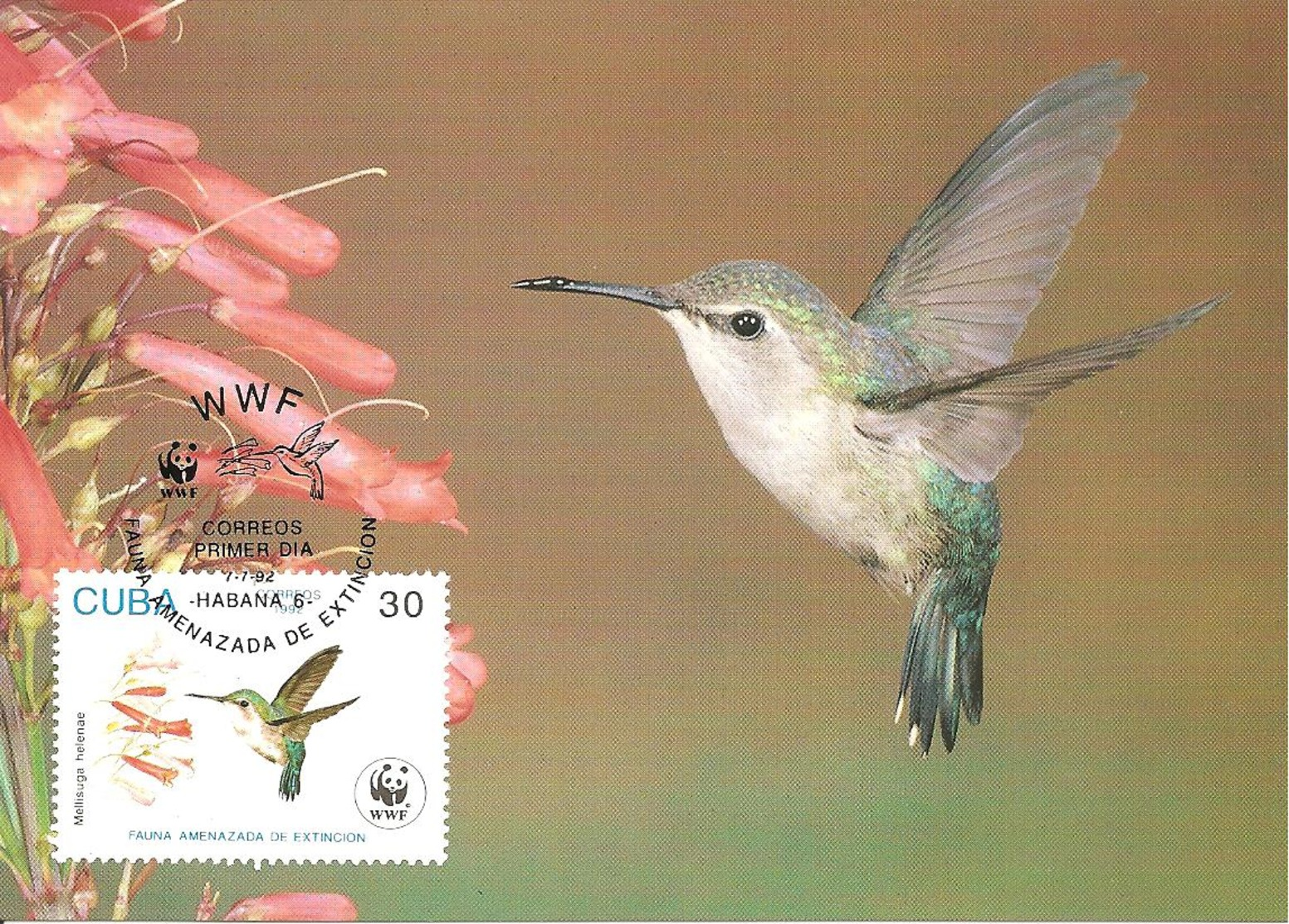 1992 - CUBA Habana -  Bee Hummingbird  - Colibri - Cuba