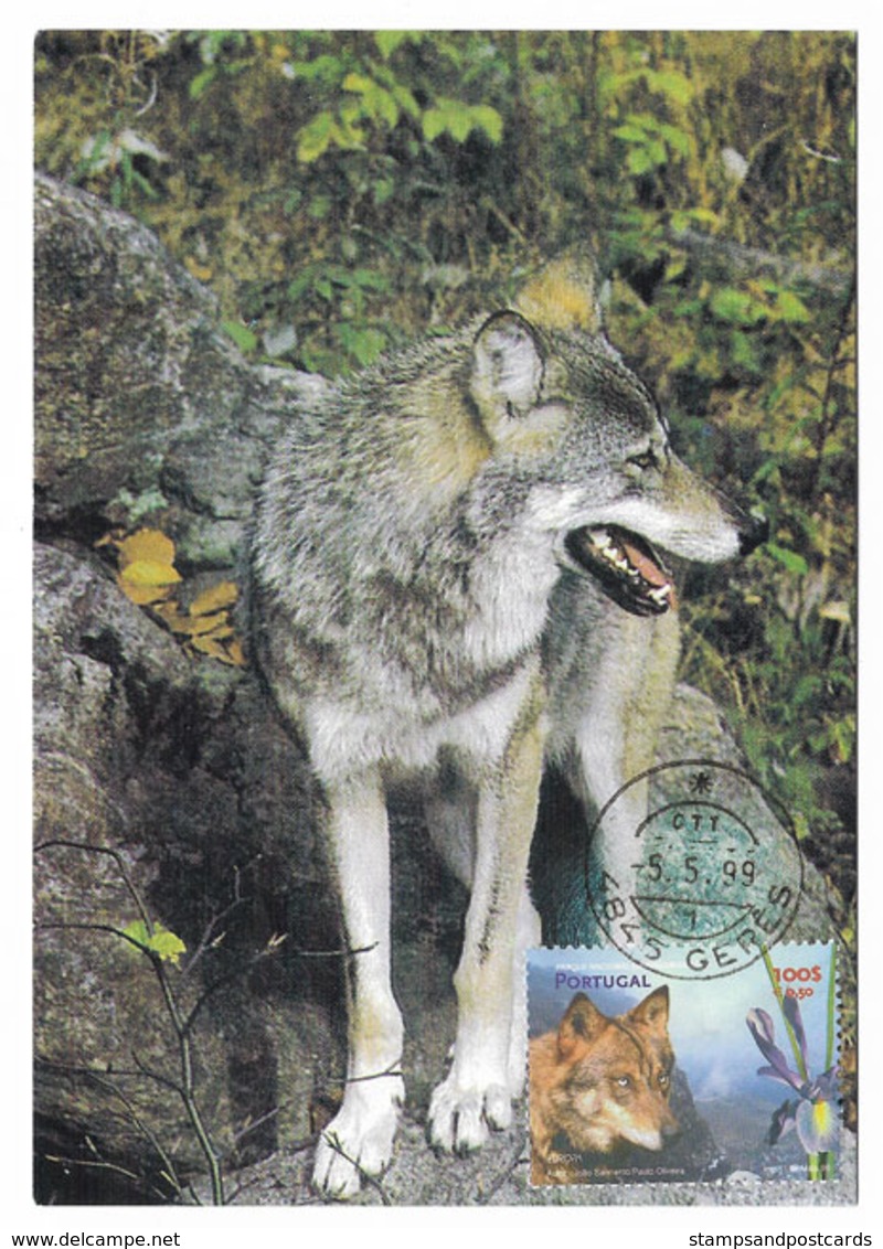 Portugal Carte Maximum Loup Canis Lupus Europa CEPT 1999 Wolf Maxicard - 1999