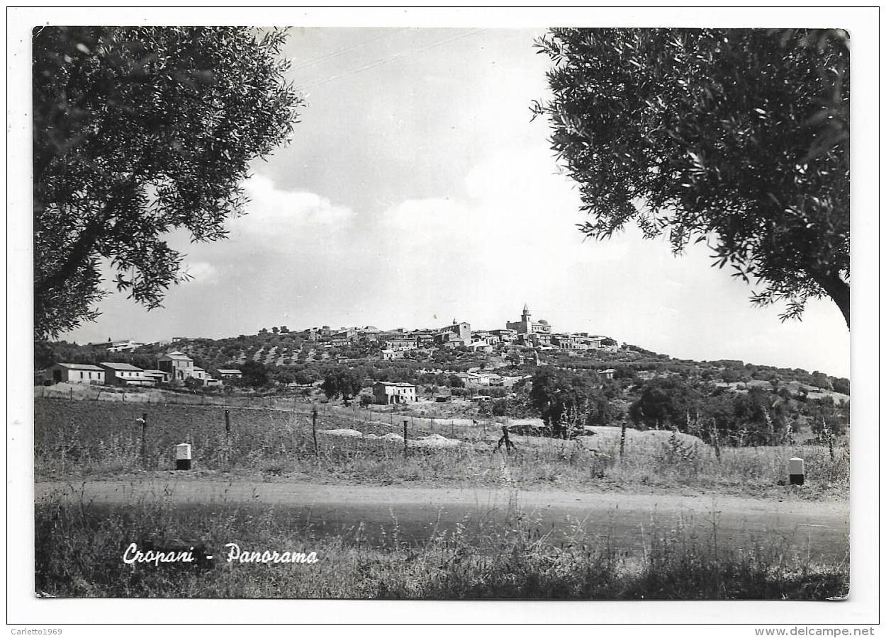 CROPANI - PANORAMA VIAGGIATA FG - Catanzaro