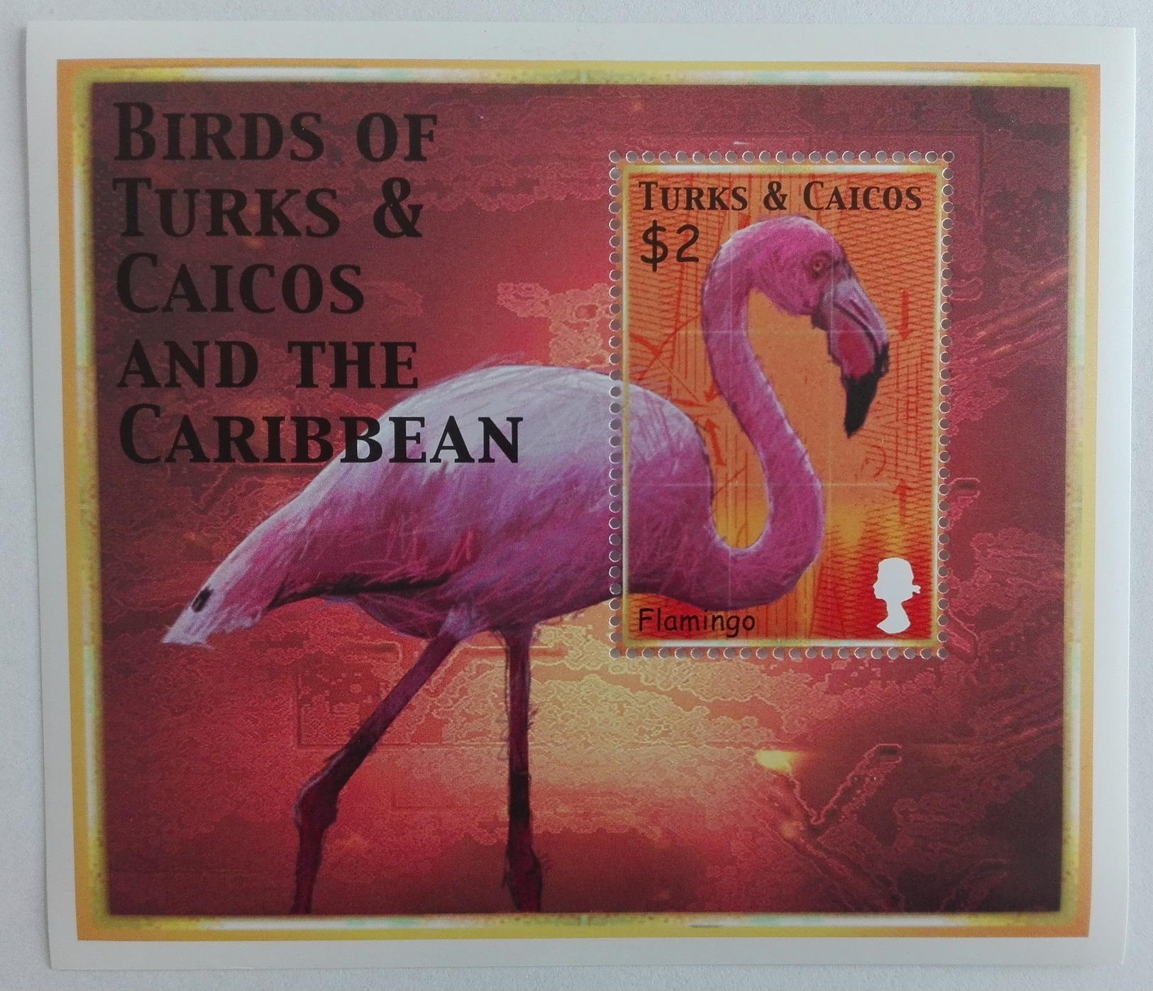 Turks&Caicos 2002** Bl.212. Birds Of Turks&Caicos MNH [7II;105] - Autres & Non Classés