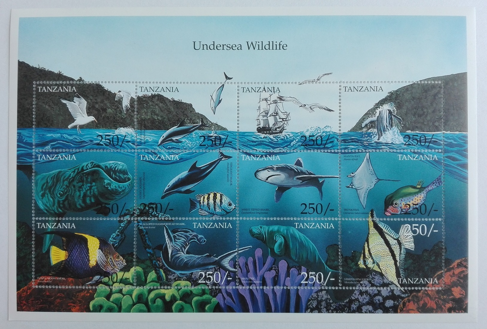 Tanzania 1999** Klb.3864-75. Undersea Wildlife MNH [7II;105a] - Vie Marine
