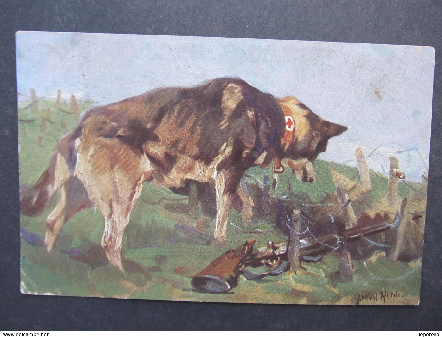 AK HUND DOG 1WK Rettungshund 1916  Feldpost Sanitätshund//  D*31324 - Hunde