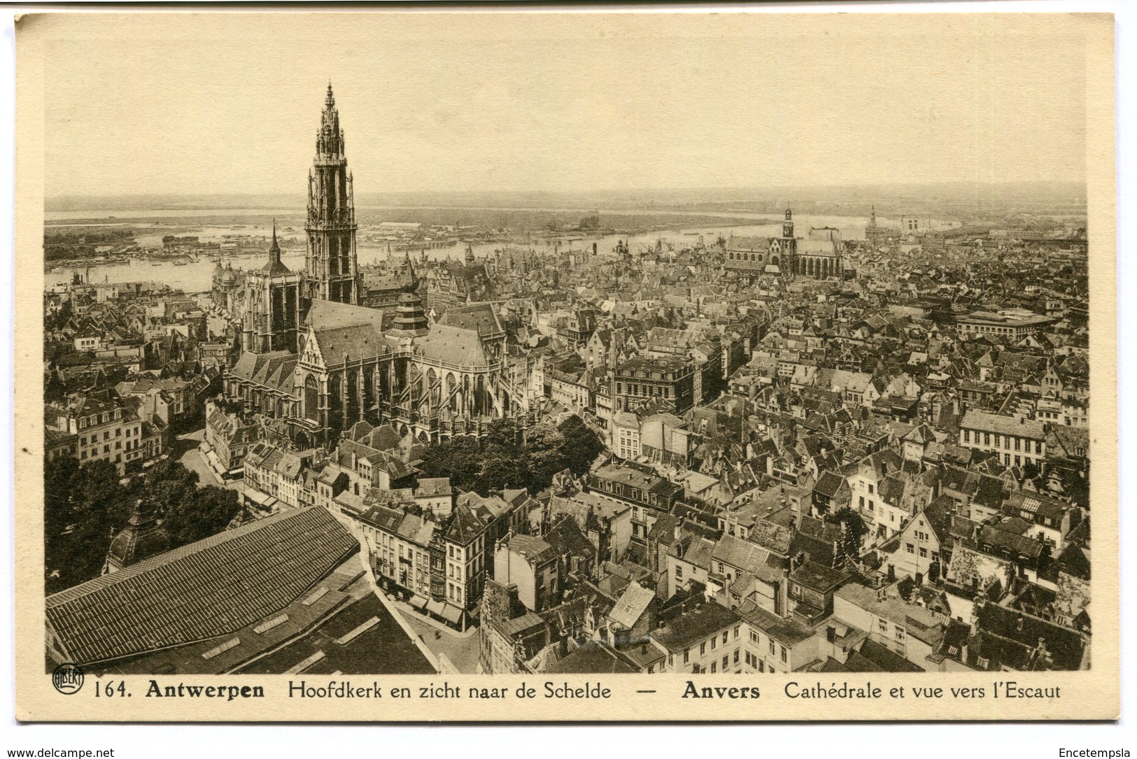 CPA - Carte Postale - Belgique - Anvers -  Cathédrale Et Vue Vers L'Escaut  (CP2127) - Antwerpen