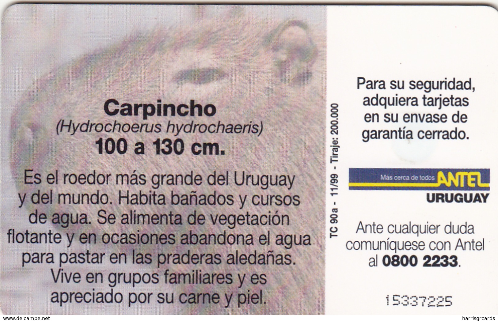 URUGUAY - Carpincho (Animal), TC 90a, 5 $ , Tirage 200.000, Used - Uruguay