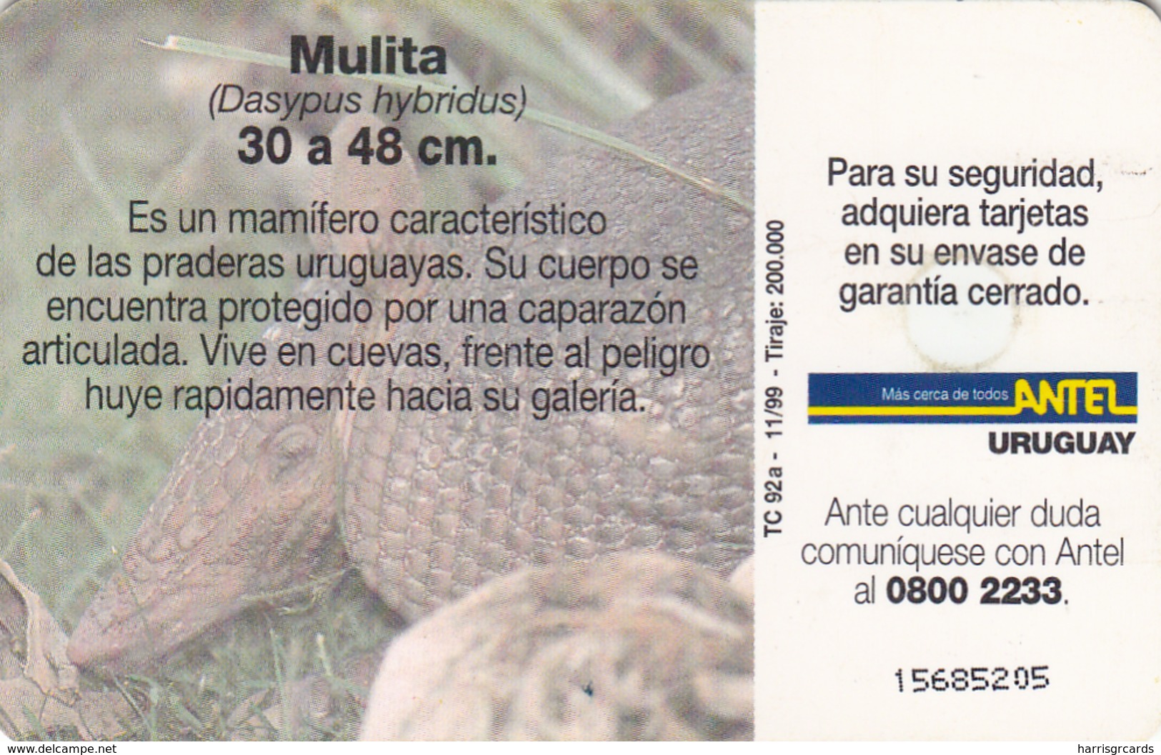 URUGUAY - Mulita (Animal), TC 92a, 5 $ , Tirage 200.000, Used - Uruguay