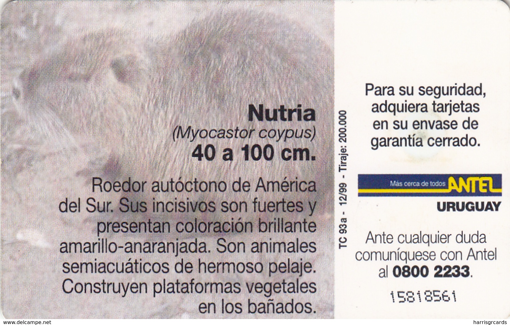 URUGUAY - Nutria (Animal), TC 93a, 5 $ , Tirage 200.000, Used - Uruguay