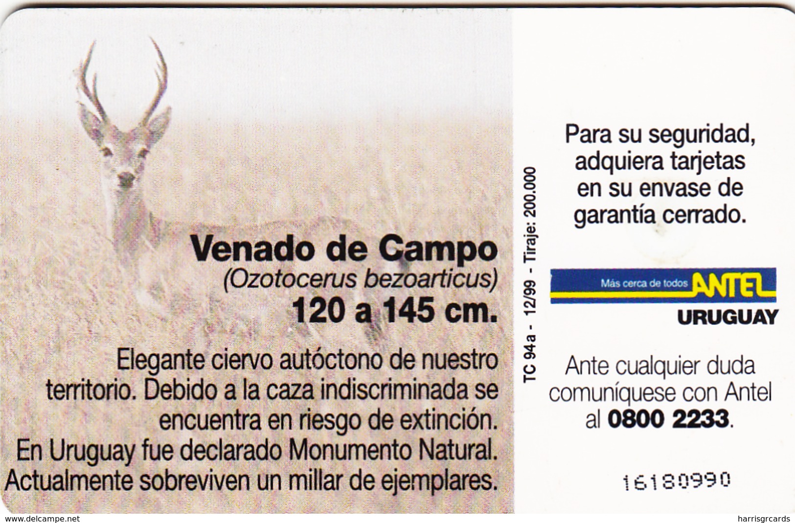 URUGUAY - Venado De Campo (Animal), TC 94a, 25 $ , Tirage 200.000, Used - Uruguay