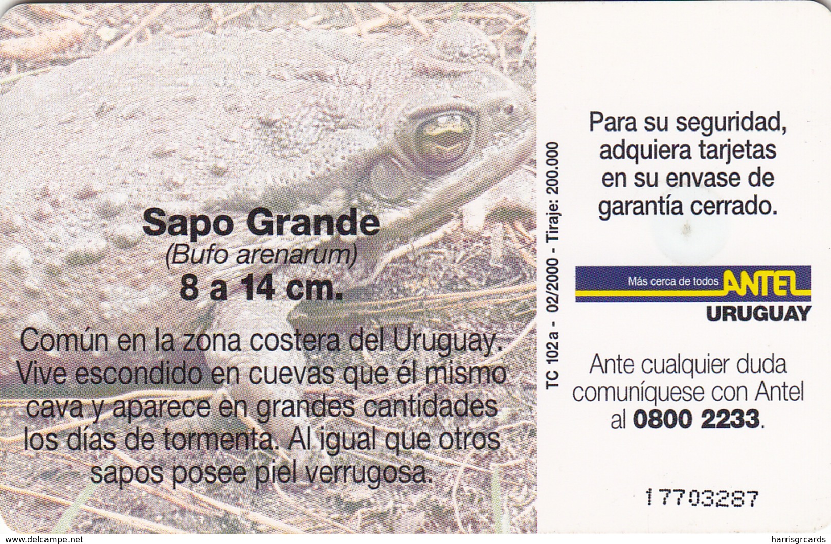 URUGUAY - Sapo Grande (Animal Frog), TC 102a, 5 $ , Tirage 200.000, Used - Uruguay