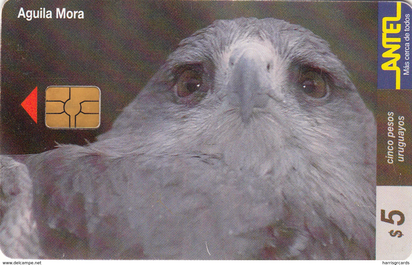 URUGUAY - Aguila Mora (Animal Bird), TC 108a, 5 $ , Tirage 200.000, Used - Uruguay