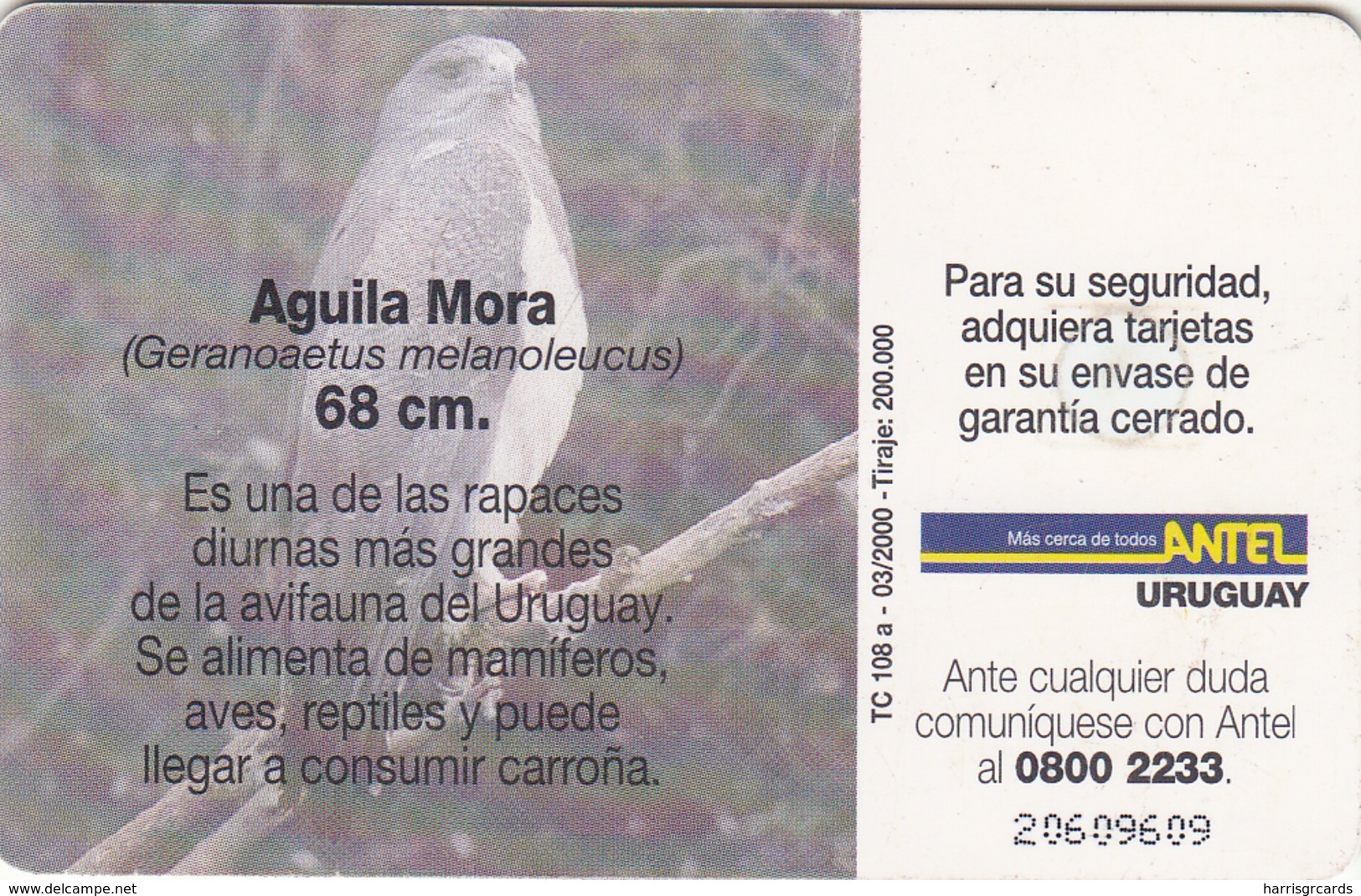 URUGUAY - Aguila Mora (Animal Bird), TC 108a, 5 $ , Tirage 200.000, Used - Uruguay