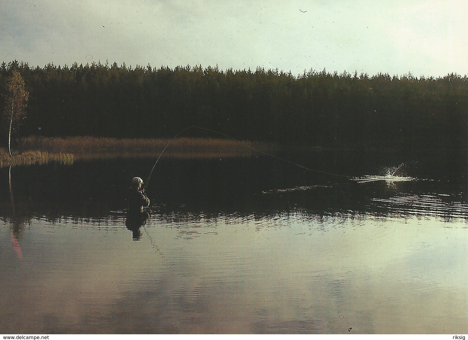 Sport Fishing. Bastugölen  Sweden   # 07441 - Fishing