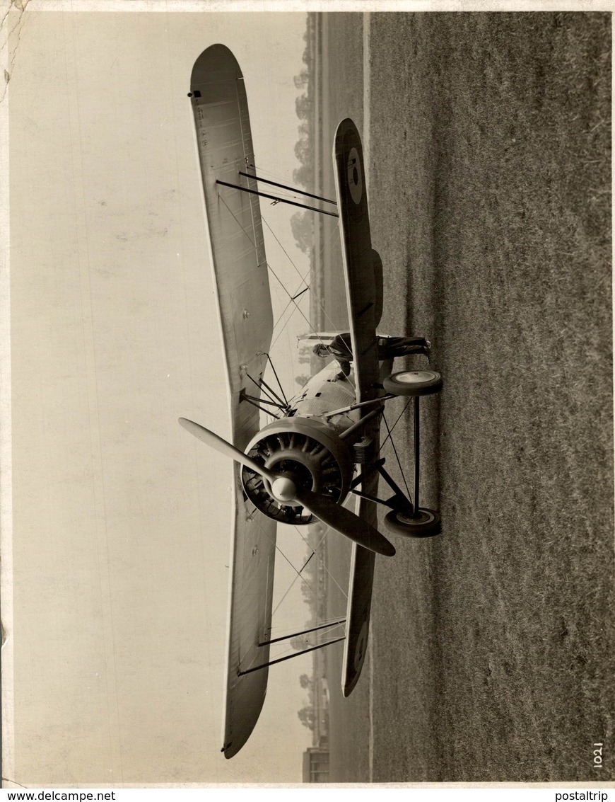 1927    BRISTOL BULLDOG DEMONSTRATOR   MPNOPLACE DE CHASSE    24 * 19 CM Aviation, AIRPLAIN, AVION AIRCRAFT - Aviación