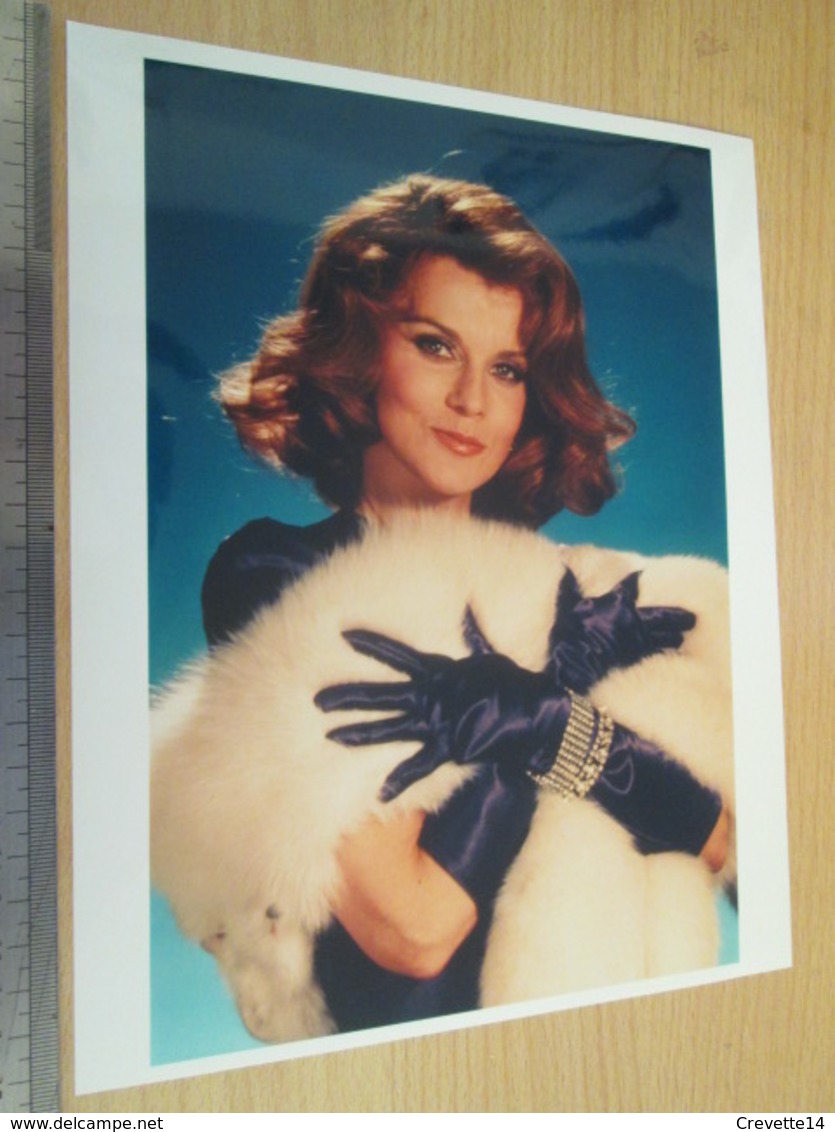 GRANDE PHOTO COULEUR ACTRICE DE CINEMA ANN-MARGRET Hauteur Env 25 Cm - Pin-up