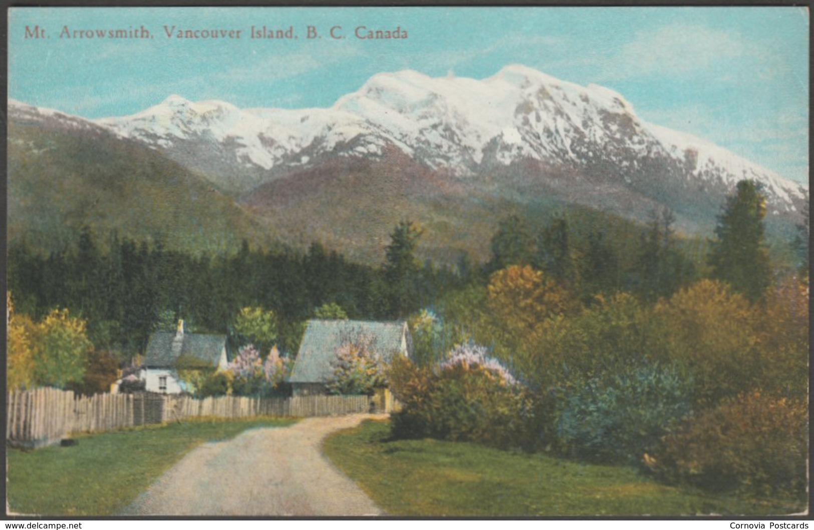 Mount Arrowsmith, Vancouver Island, British Columbia, C.1910s - Coast Publishing Co Postcard - Other & Unclassified