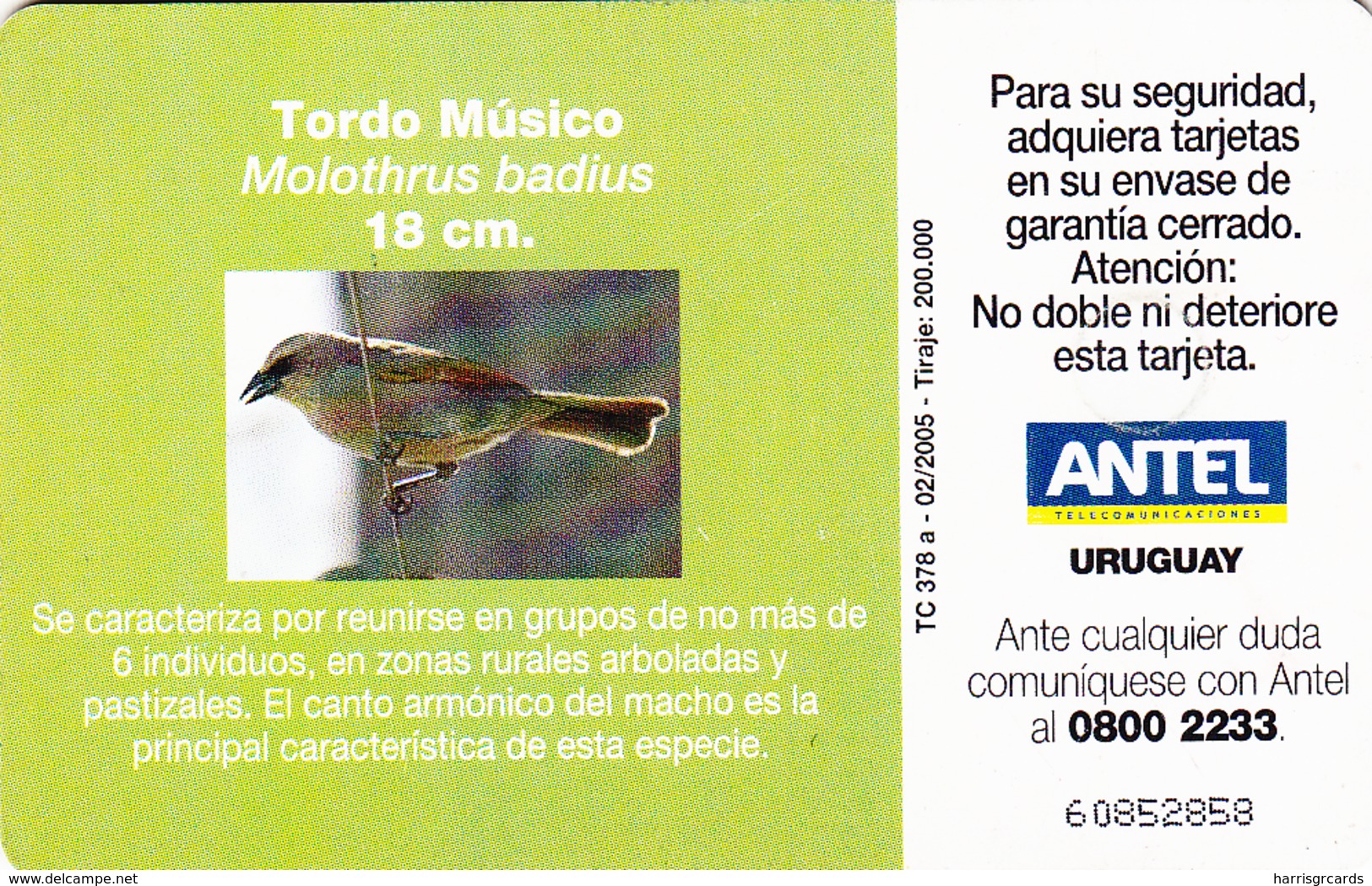 URUGUAY - Tordo Musico Bird, TC 378a, 25 $ , Tirage 200.000, Used - Uruguay