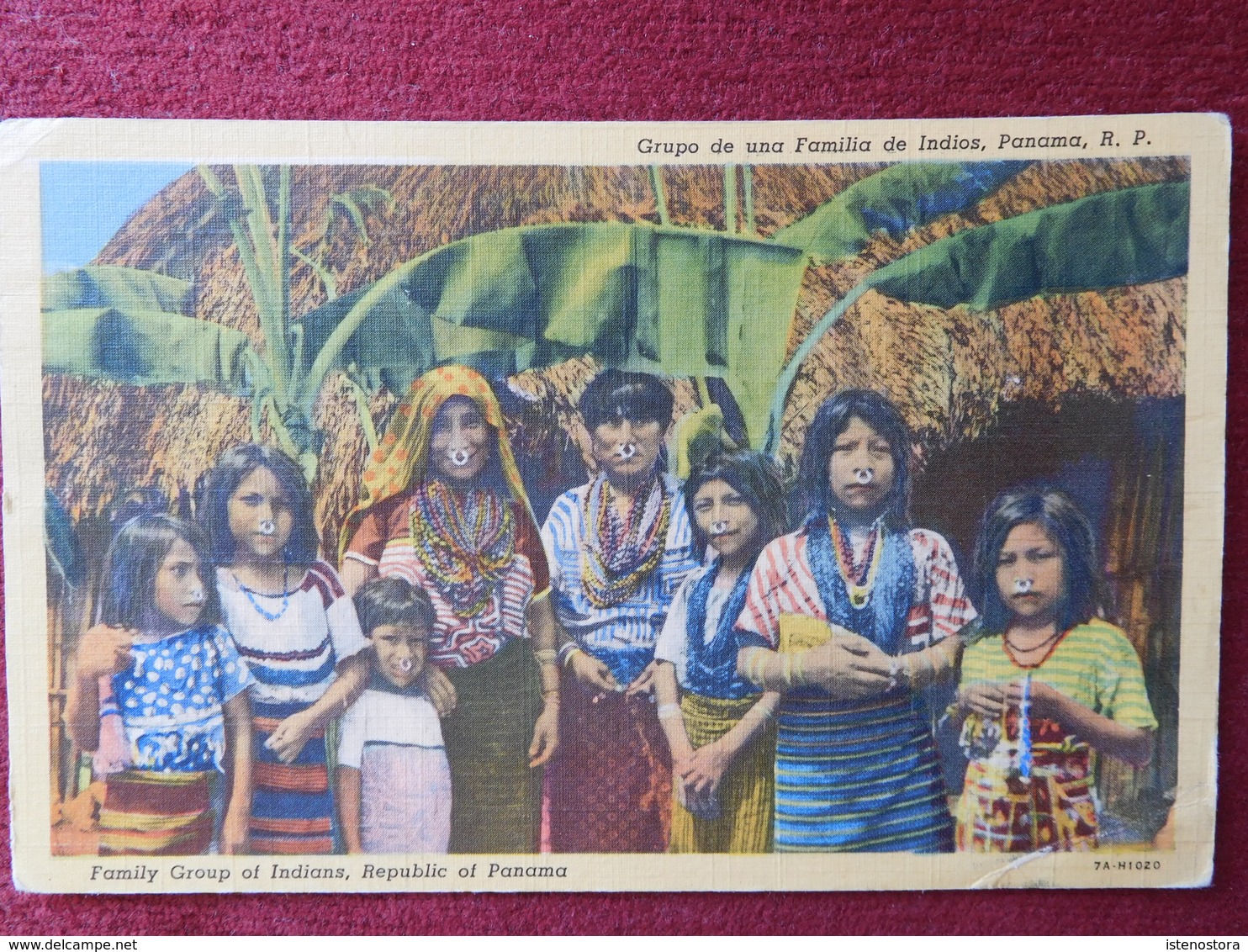 PANAMA / FAMILY GROUP OF INDIANS - ETHNIC - Panama