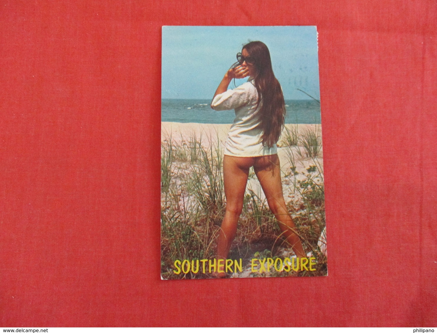 Pin-Ups -  Southern Exposure-- A Beautiful Sight To See    -ref 2930 - Pin-Ups