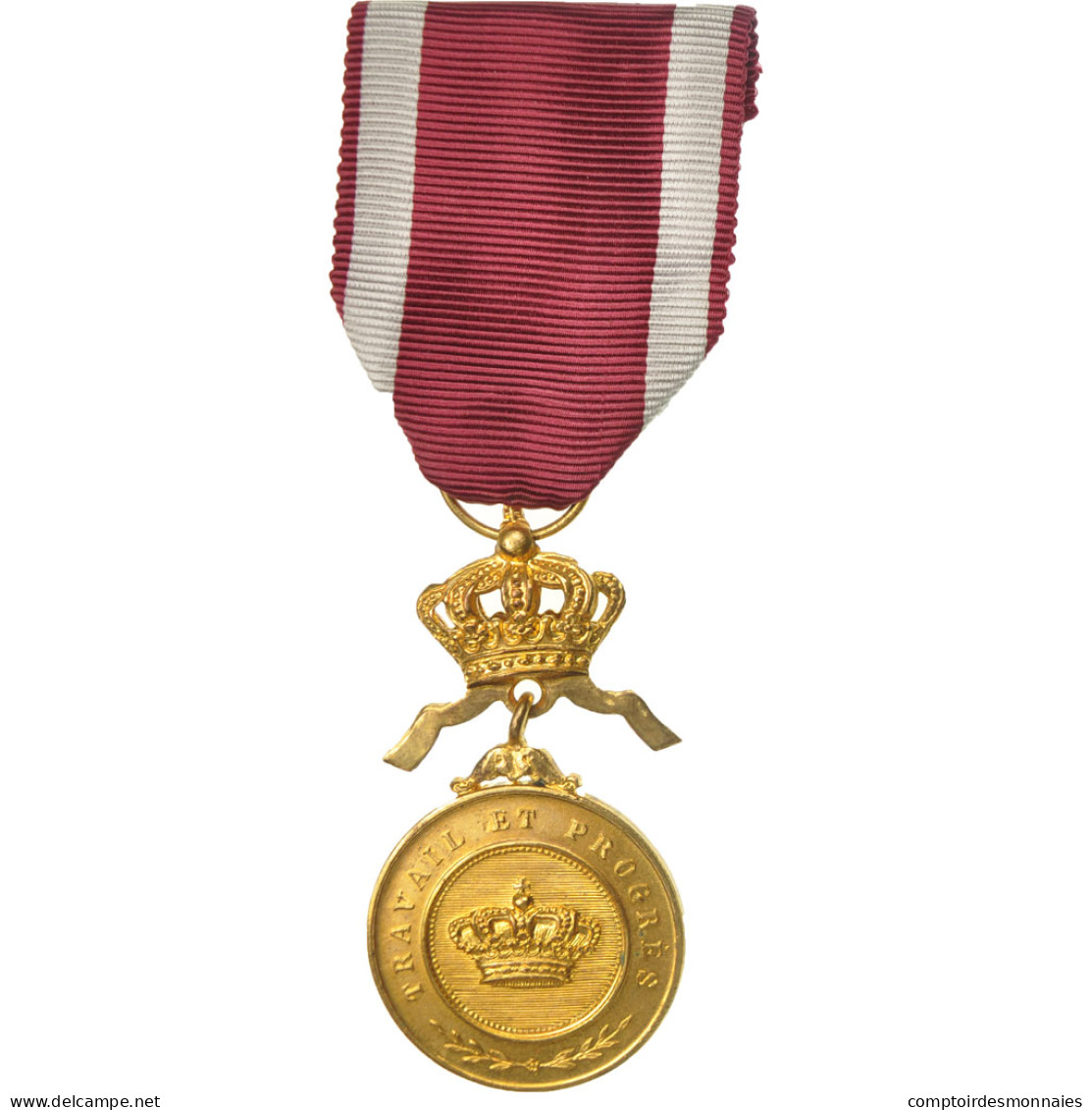 Belgique, Travail Et Progrès, Médaille, Excellent Quality, Gilt Bronze, 31 - Autres