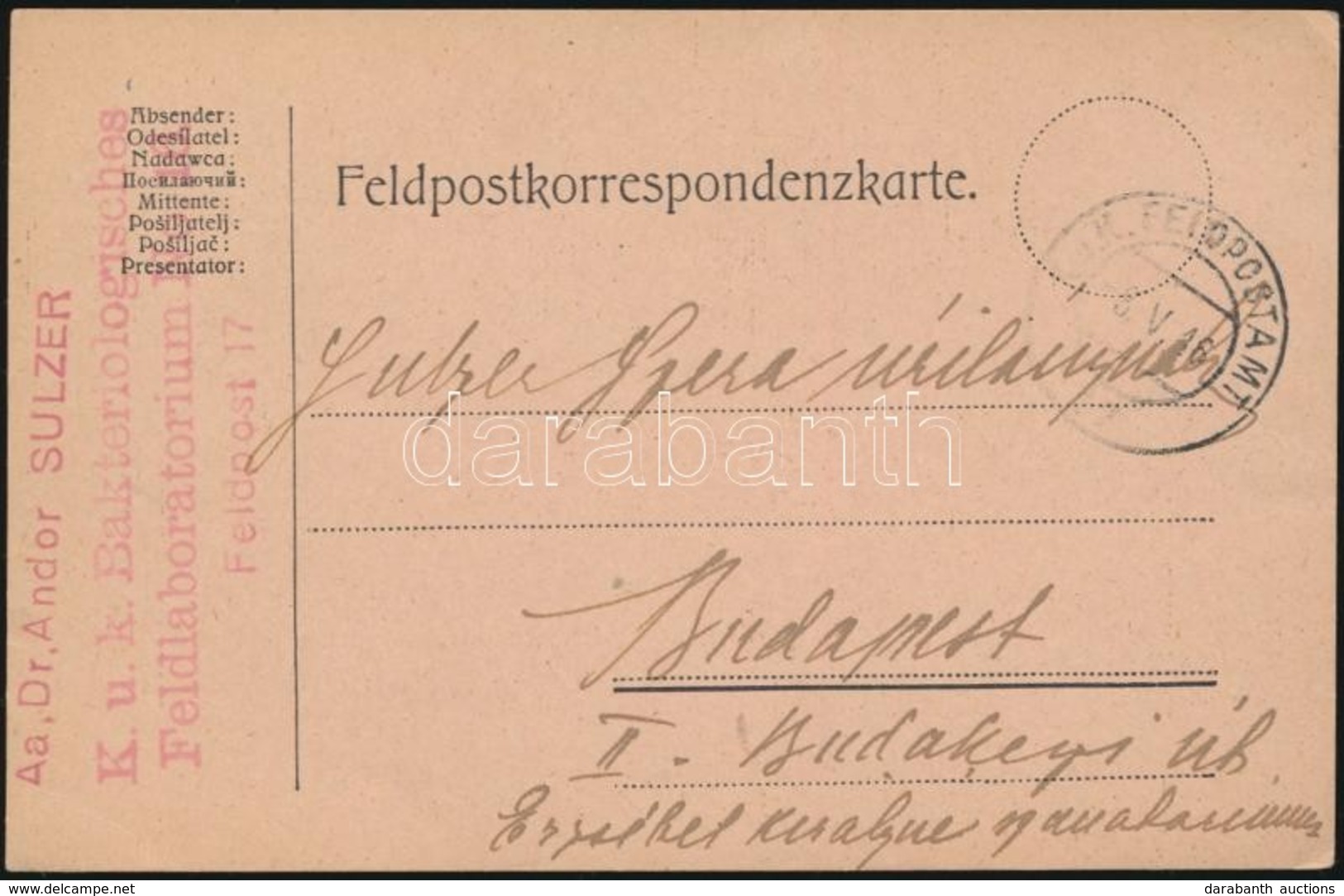 1916 Tábori Posta Levelez?lap / Field Postcard 'K.u.k. Bakteriologisches Feldlaboratorium No.16.' + 'FP 17' - Altri & Non Classificati