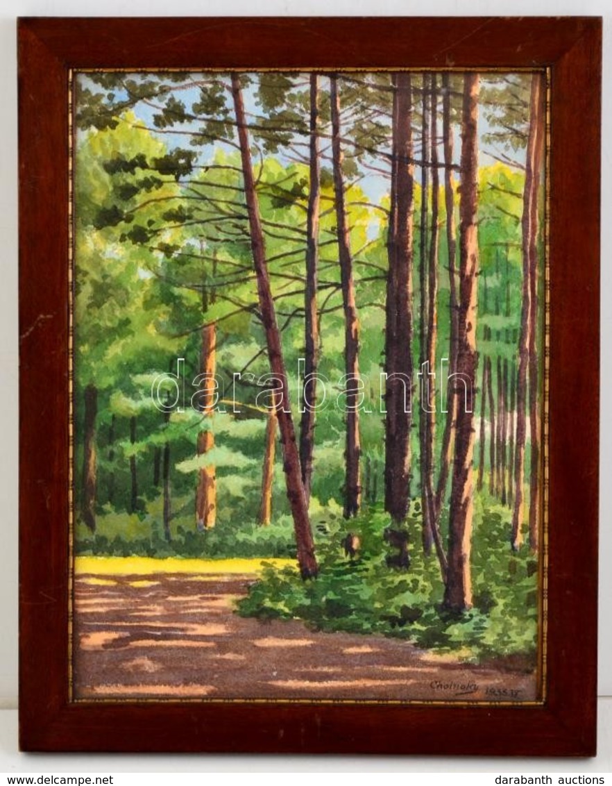 Cholnoky Jen? (1870-1950): Erd? Részlet. Akvarell, Papír, Jelzett, üvegezett Keretben, 33×25 Cm - Altri & Non Classificati