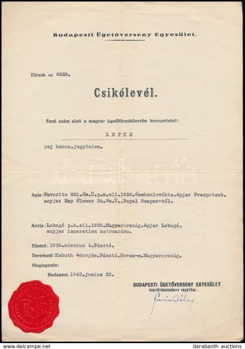 1942-1943 A Lepke Nev? Versenyló Csikólevele és Marhalevele, 2 Db - Non Classificati