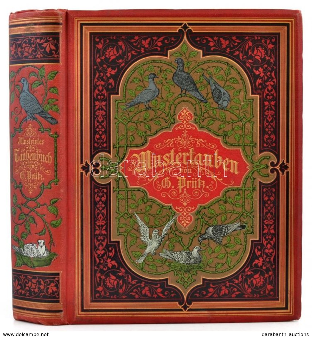 Prütz, Gustav; Illustrirtes Mustertauben-Buch  Enthaltend Das Gesammte Der Taubenzucht.
Hamburg, 1887. Verlag Von H F Ri - Non Classificati
