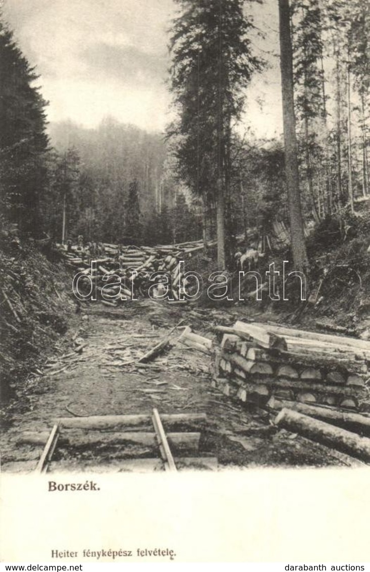 ** T1/T2 Borszék, Borsec; Fakitermelés Az Erd?ben, F?résztelep. Heiter Fényképész / Logging Near The Sawmill - Non Classificati