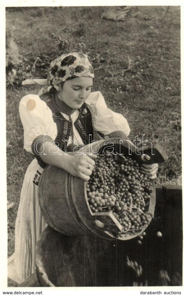 T2 1940 Kalotaszegi Szüret / Transylvanian Folklore From Tara Calatei, Harvest - Non Classificati