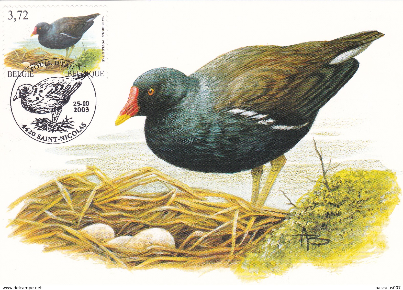 B01-025-3 3212  NAT  Carte Souvenir FDC   Animaux Poule D'eau 25-10-2003 9100 Sint-Niklaas €7 - 1951-1960