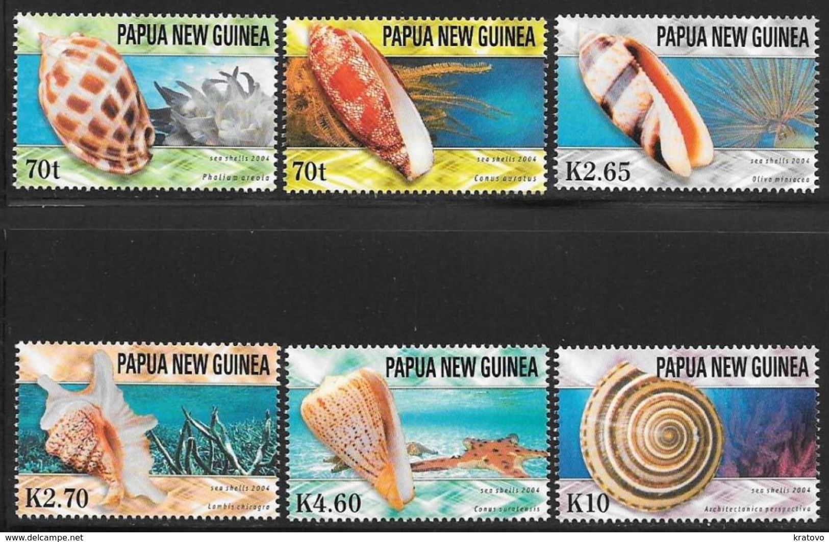 PAPUA NEW GUINEA 2004 Mi # 1099 - 1104 MARINE FAUNA Seashells MNH - Papua New Guinea