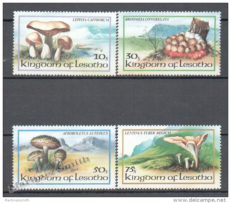 Lesotho 1982 Yvert 533-36, Mushrooms - MNH - Lesotho (1966-...)