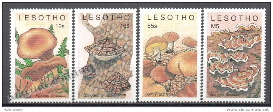 Lesotho 1989 Yvert 852-55, Mushrooms - MNH - Lesotho (1966-...)