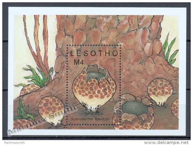 Lesotho 1989 Yvert BF 69, Mushrooms - Miniature Sheet - MNH - Lesotho (1966-...)