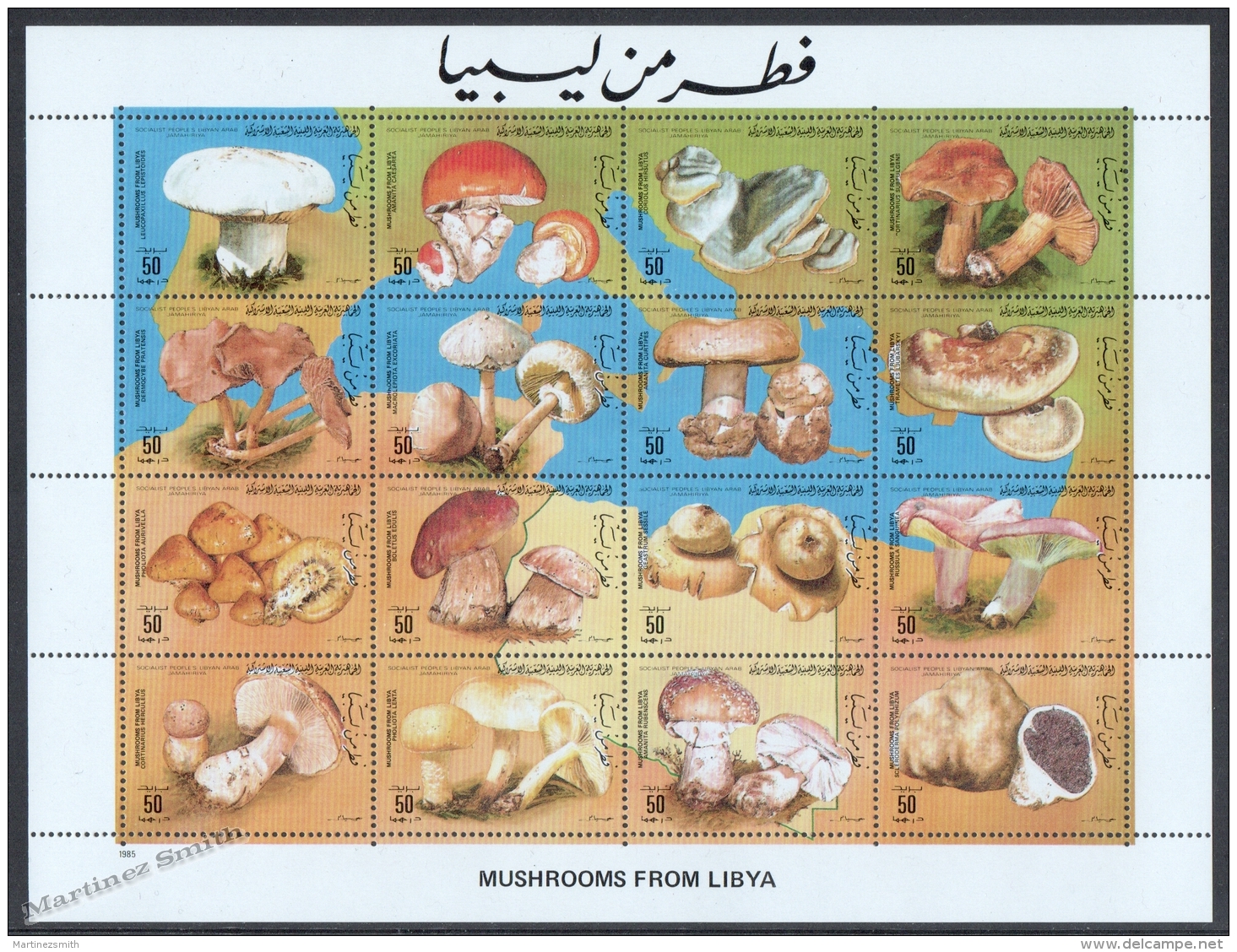 Libya - Libye - Libia 1985 Yvert 1557-72, Mushrooms - MNH - Libya