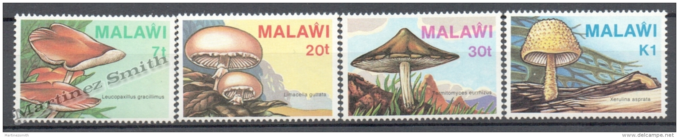 Malawi 1985 Yvert 445-48, Mushrooms - MNH - Malawi (1964-...)