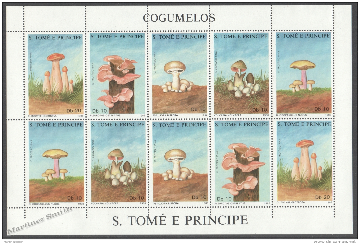 Saint Thomas - Santo Tome E Principe 1988 Yvert 899-903, Mushrooms - Sheetlet - MNH - Sao Tome And Principe